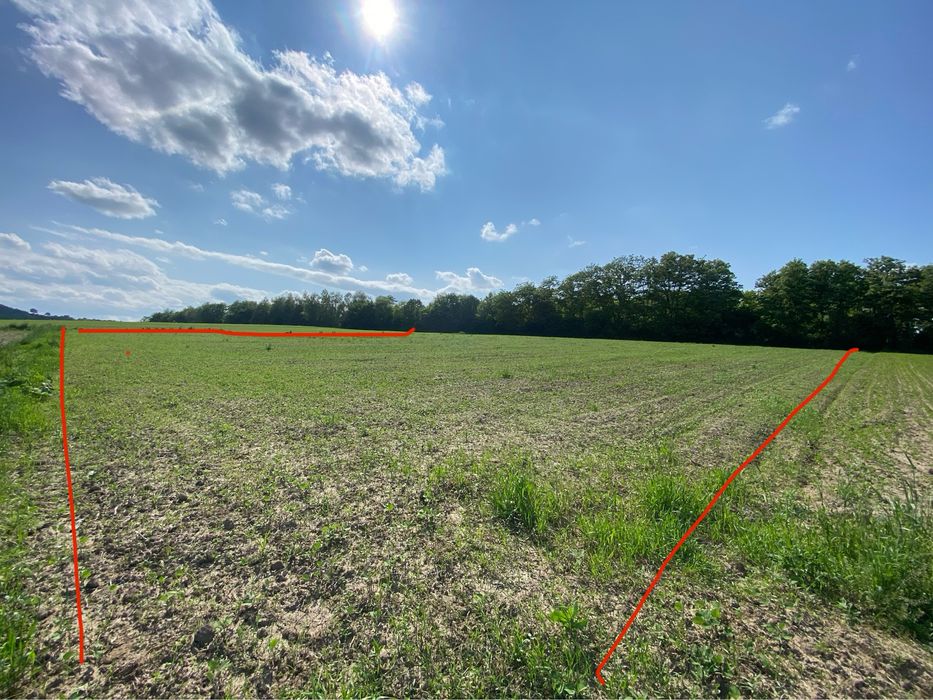 Топова земля, перша лінія, 50соток +