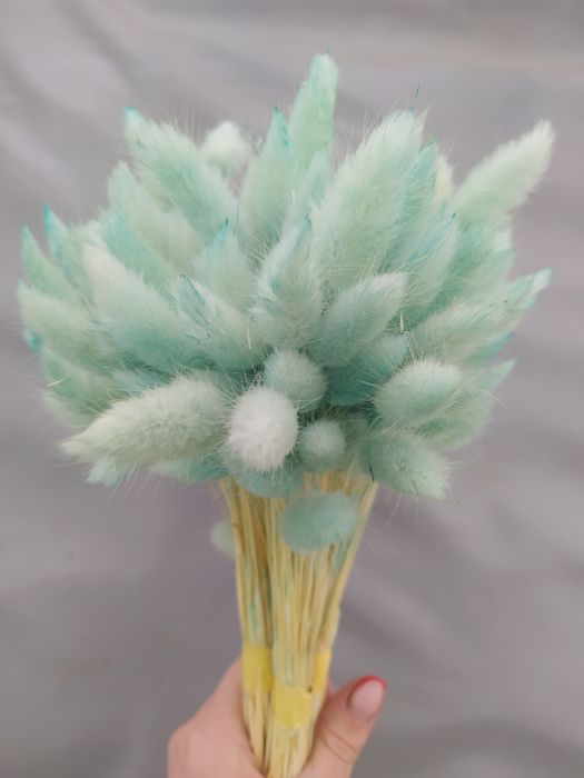 Лагурус продам, сухоцвіти