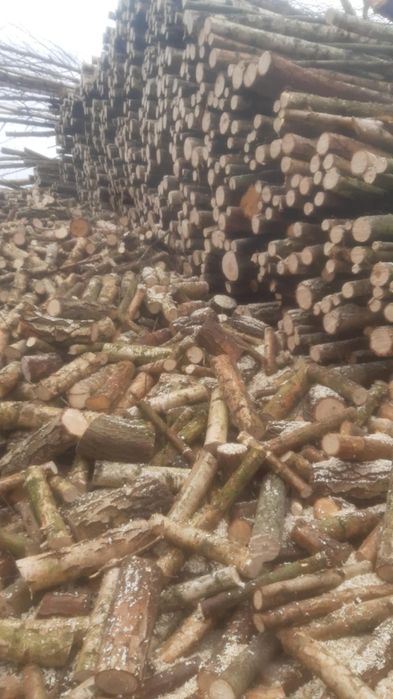 Usługi pilarskie ścinka drzew cięcie rąbanie i przycinanie drzew