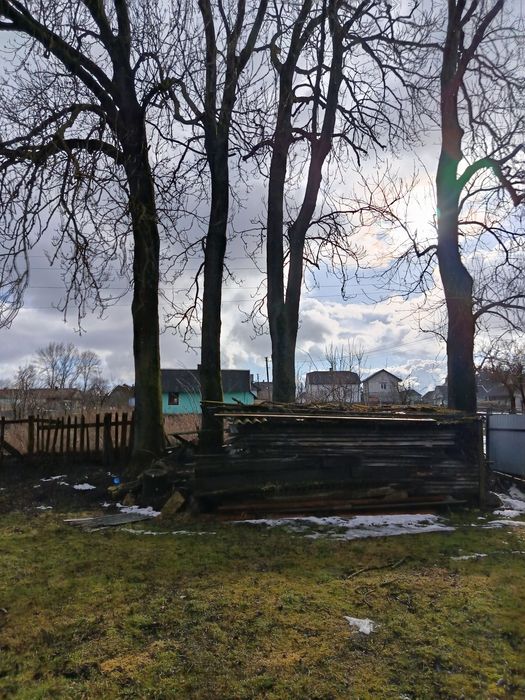 Зріізання аварійних  дерев