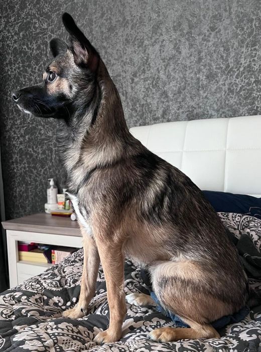 Мила  Бетті шукає родину