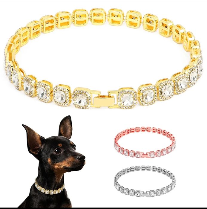 Colar para cães (novo)