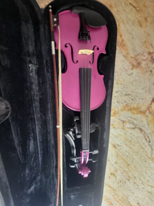 Violino  violeta