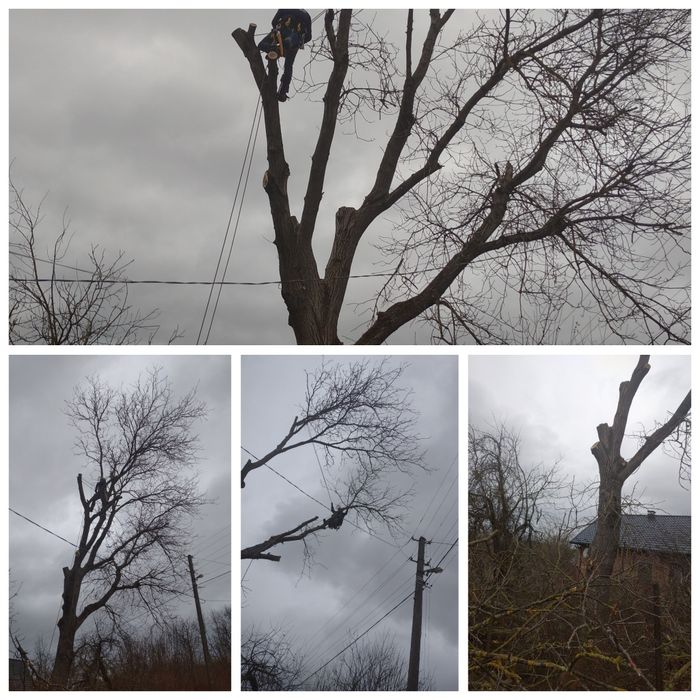 Зрізання аварійних дерев