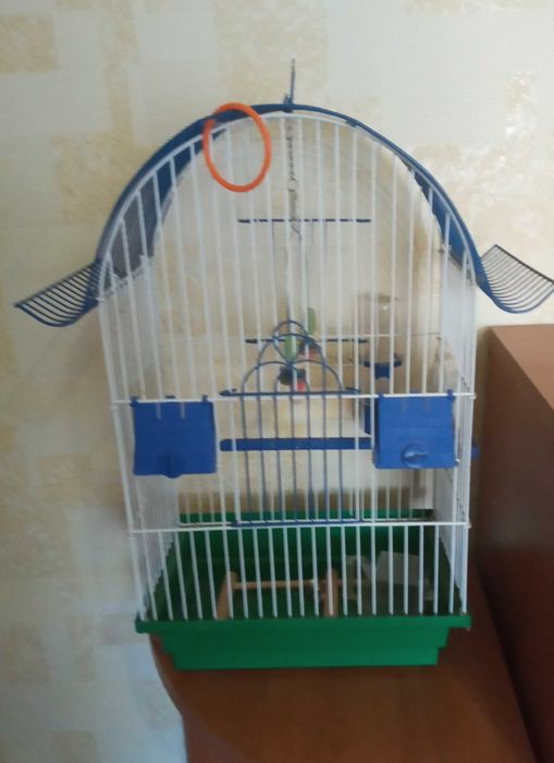 Продам клетку для птиц