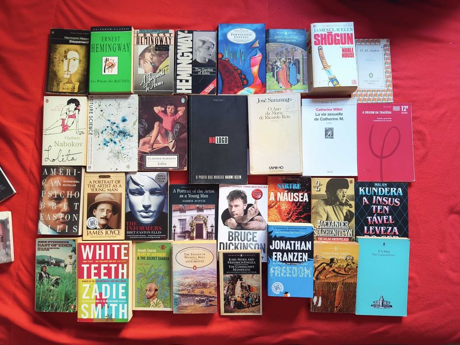 Livros variados de filosofia, sociologia, ficção