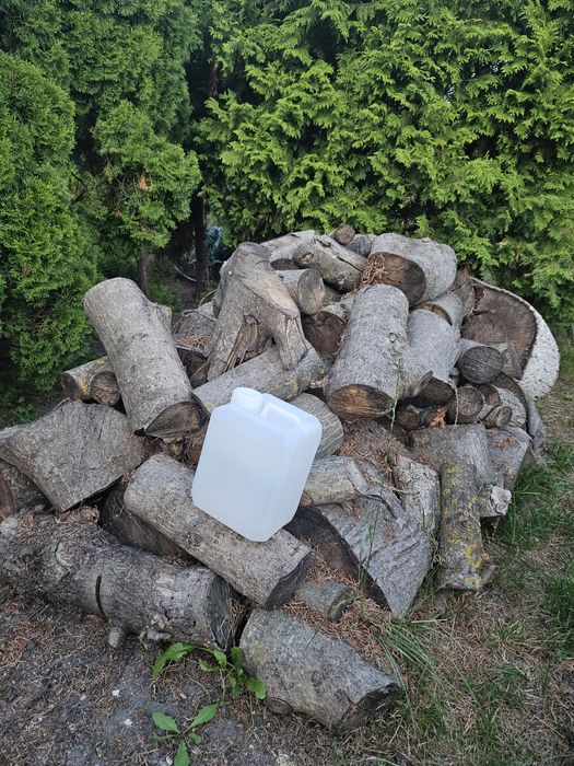 Drewno kłody//klocki orzech włoski