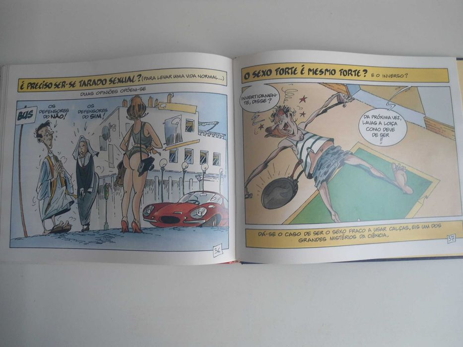 Tudo ou quase tudo sobre A Sexualidade do Homem por Goupil/Tybo