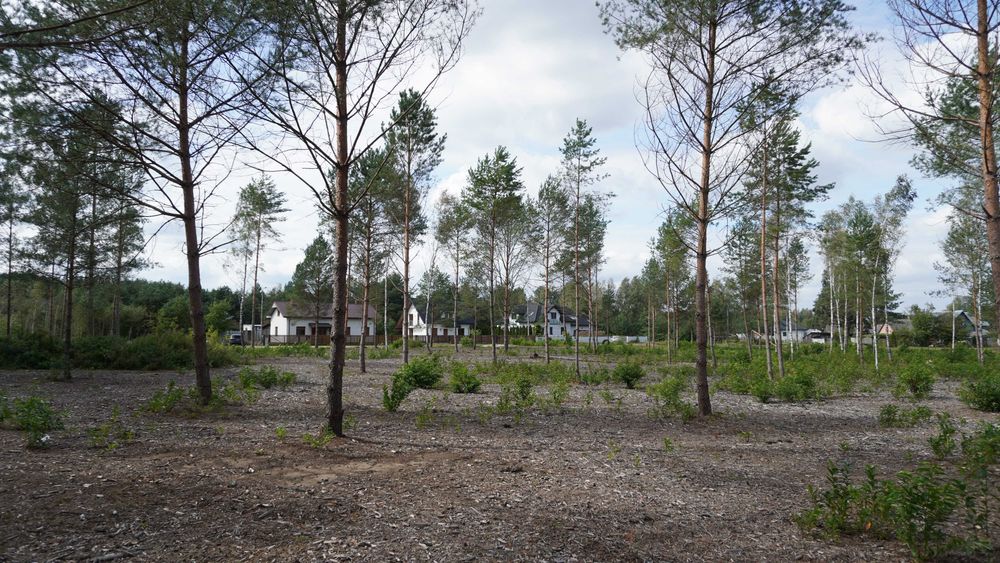 Malownicze działki budowlane Rogóźnia - Widok 3
