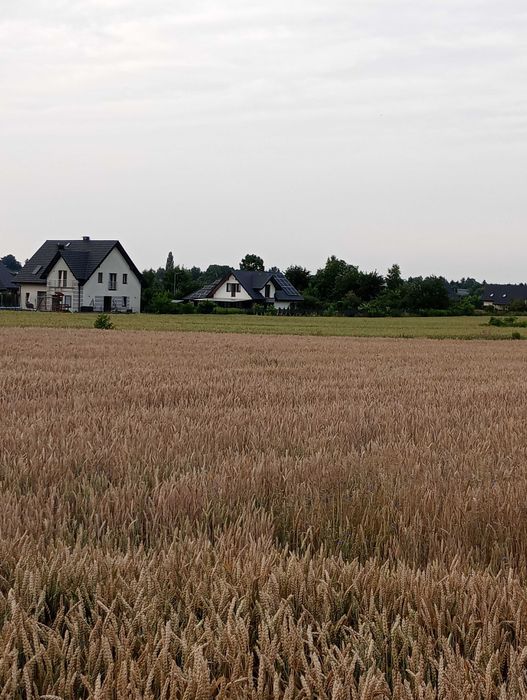 Działka budowlana w Kalinówce 900 mkw koło Lublina - Widok 2