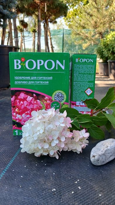 Добрива BIOPON, для троянд, гортензіі, винограду, газону, полуниці
