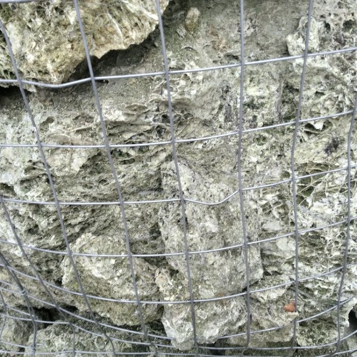 Spaghetti brązowe/ Spaghetti Green, zielone, kamień do akwarium