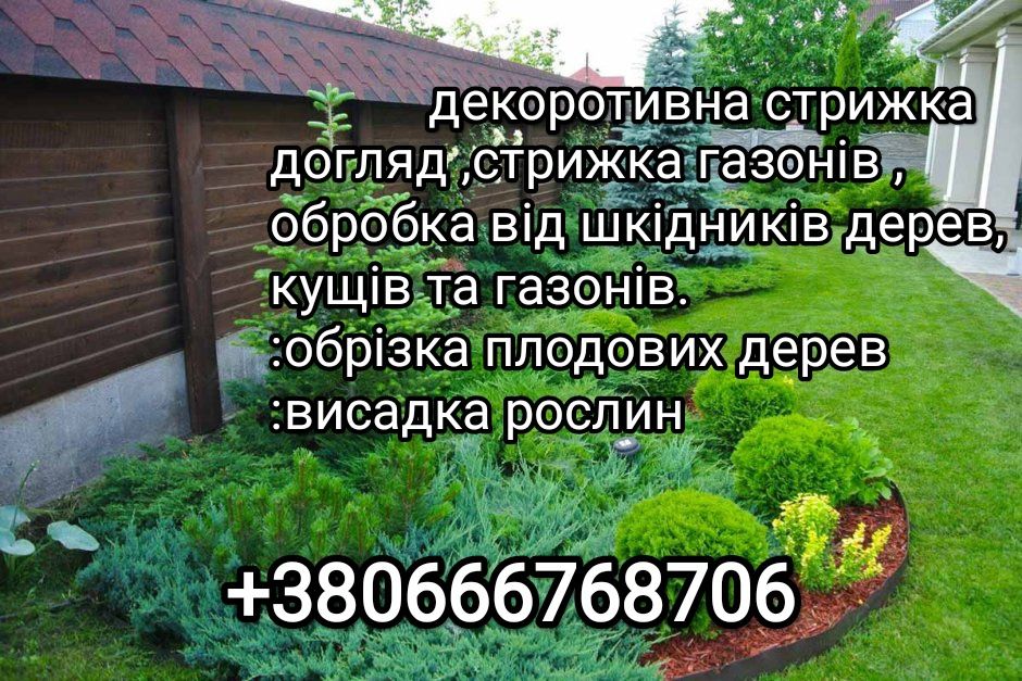 Стрижка туй,догляд за ділянкою,чистка саду.