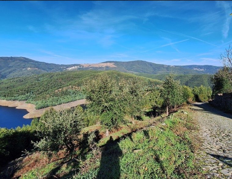Ruína na aldeia de Faval em Sobral