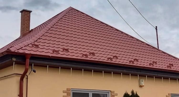 покрівельні послуги
