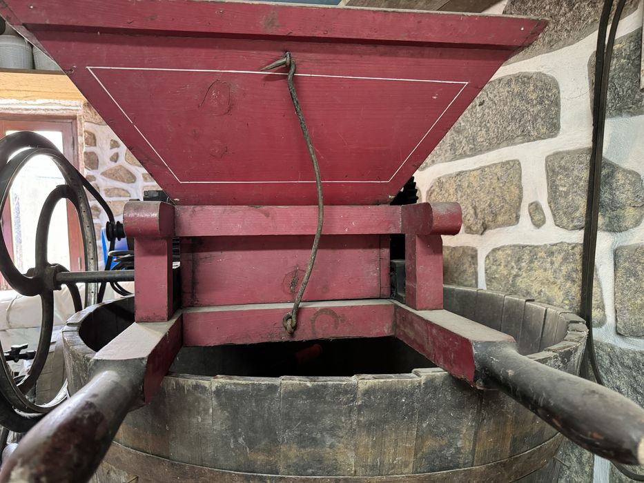 Realador de vinho eletrico