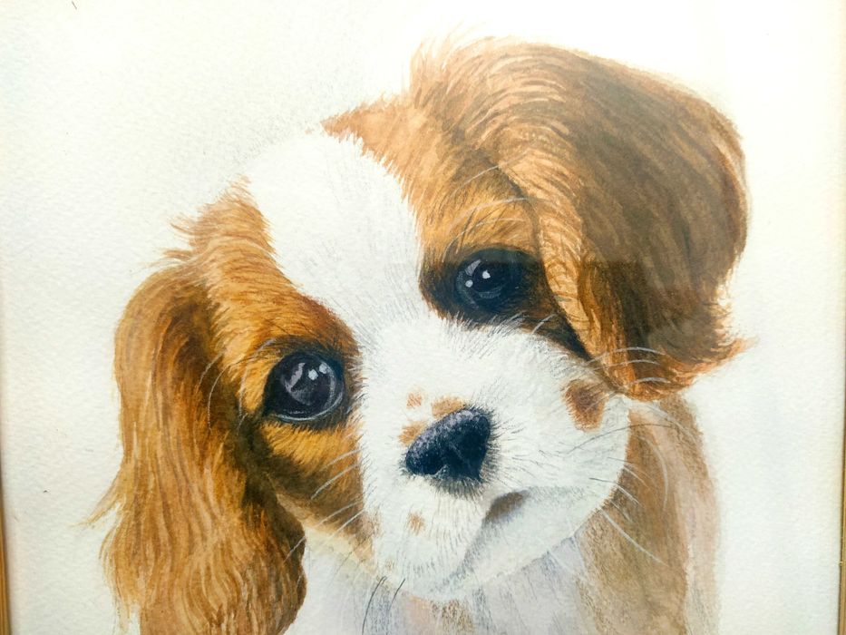 Portret psa – King Charles Spaniel, Oryginalny Obraz Akwarela, ołówki
