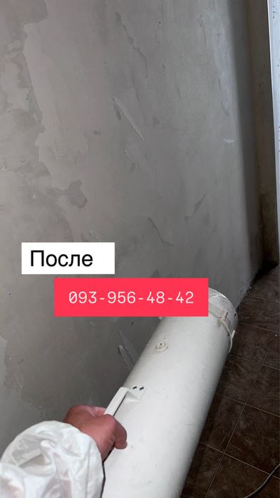 Удаление и устранение грибка , удаление плесени.Работа любой сложности