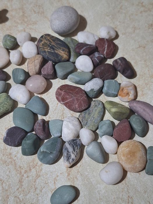 Продам кораллы, камни для аквариума