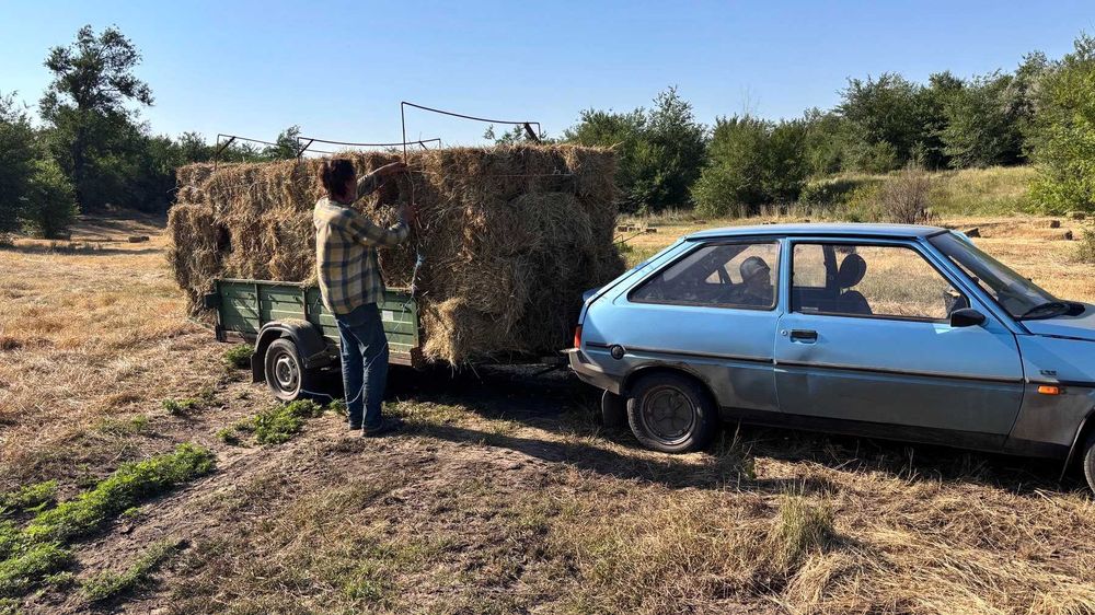 Сено-Сіно лугове и люцерка в тюках.