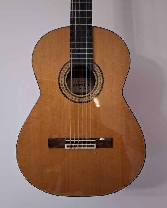 Gitara admira artista - Kraków/Katowice i okolicy