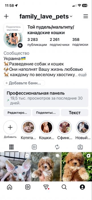 Кукольный мальчик РИО