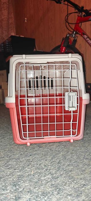 Caixa transporte animais