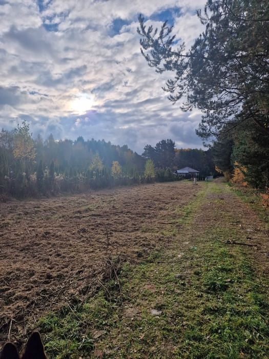 Sprzedaż działki z PnB Skierniewice otulina lasu