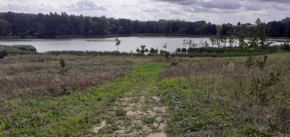Działka rekreacyjna nad jeziorem, 706 m², prąd, woda, Lubieniec okolice Chodcza - Widok 2
