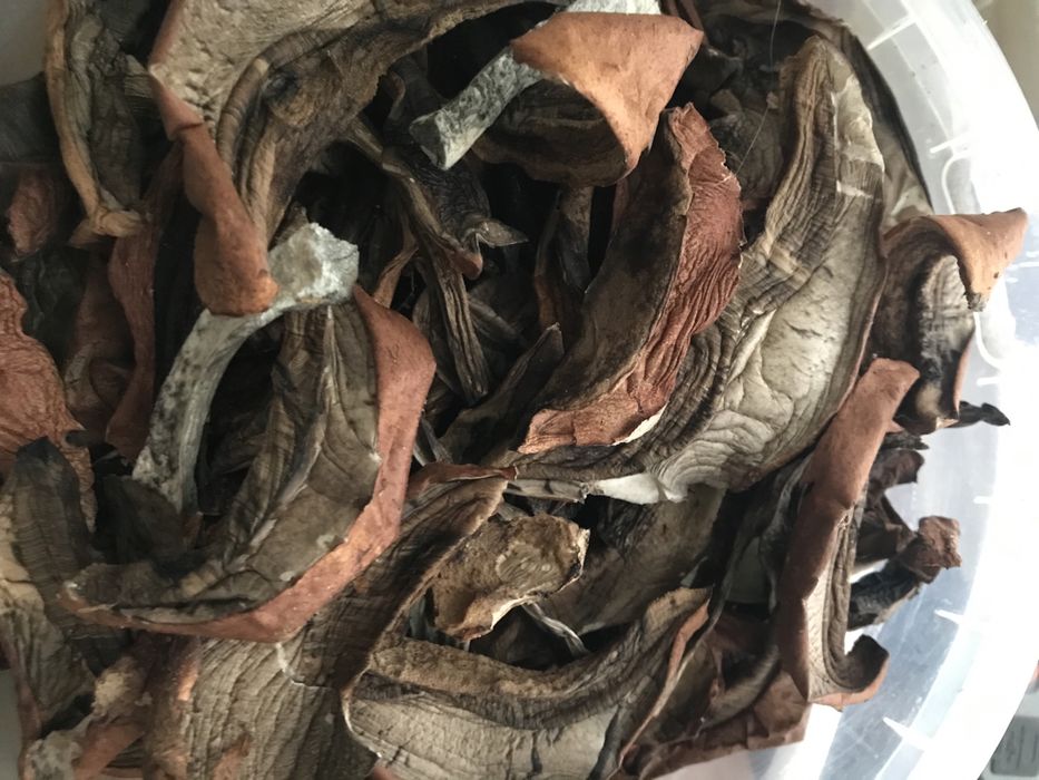 Продам сухие подосиновики( красноголовцы)