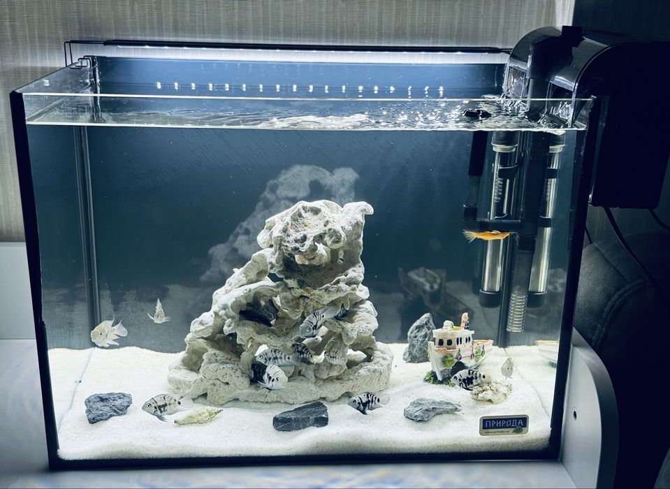 Акваріум 54 л