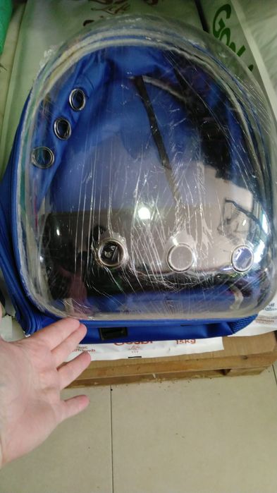 Agaponis domésticado