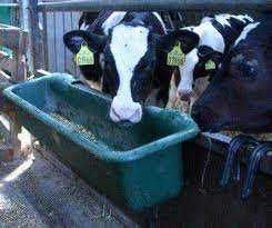 Koryto - żłób podłużny uniwersalny dla koni i bydła