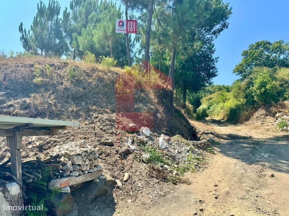 Terreno florestal, Nevogilde — Carreiras (São Miguel) E Carreiras (Santiago), Braga