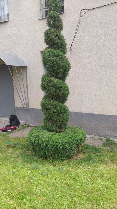 Услуги садовника, уход за территорией, стрижка растений