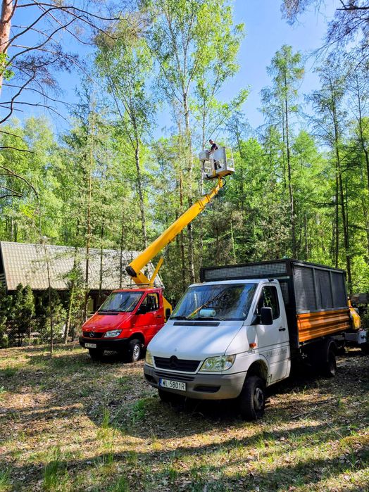 Wycinka drzew, czyszczenie działek, usługi rębakiem, podnośnik koszowy