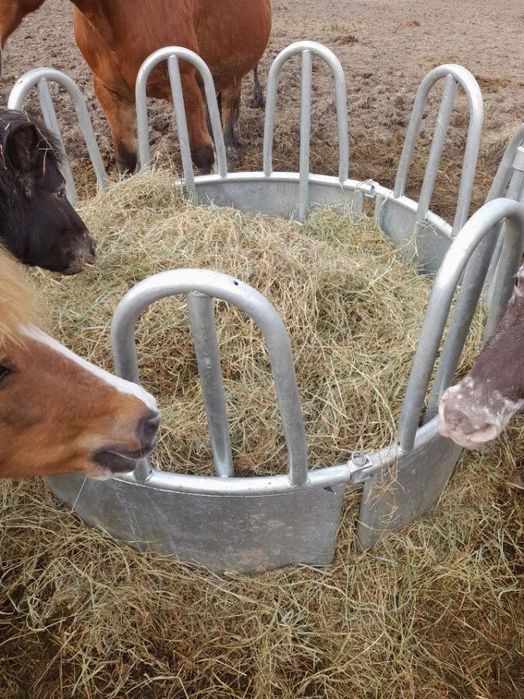 Sianokiszonka siano dla koni bydła