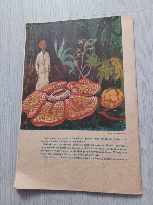 Płomyczek dwutygodnik dla młodszych dzieci