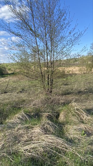 ЕкоЛокація 12 соток с. Копачів, м. Обухів 14 км