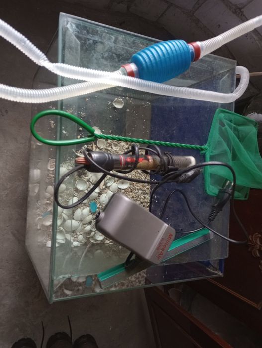 Акваріум. Цілий.