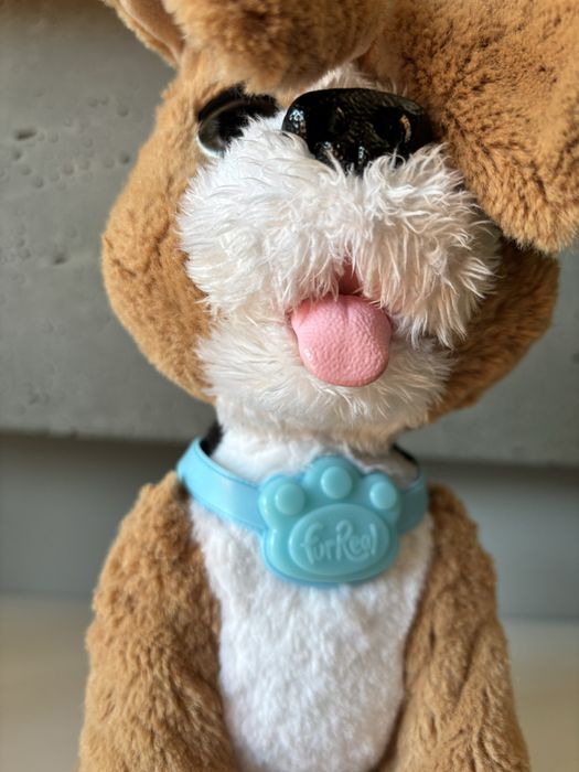 Interaktywny piesek FurReal