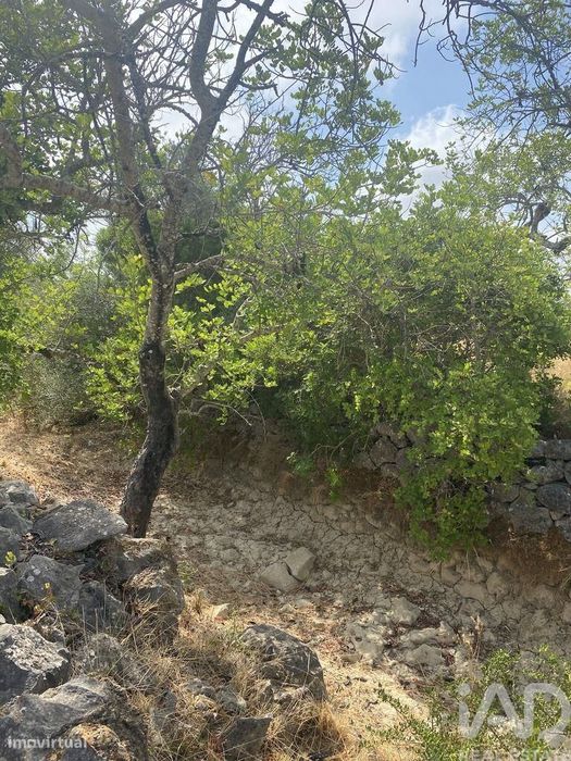 Terreno em Santa Catarina da Fonte do Bispo de 10000,00 m2