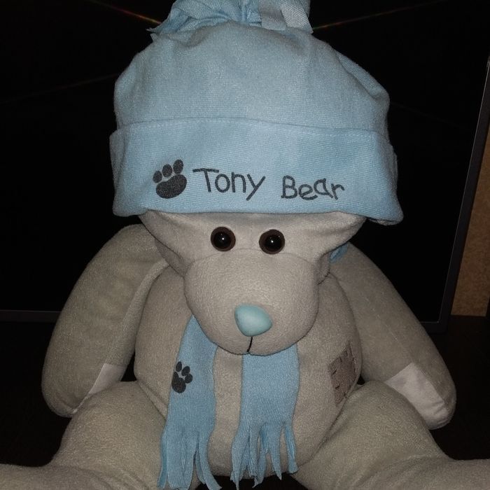 Большой мишка Тедди