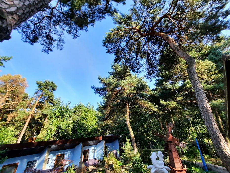 Wynajem domków2026 Wczasy Brenno DELFINEK