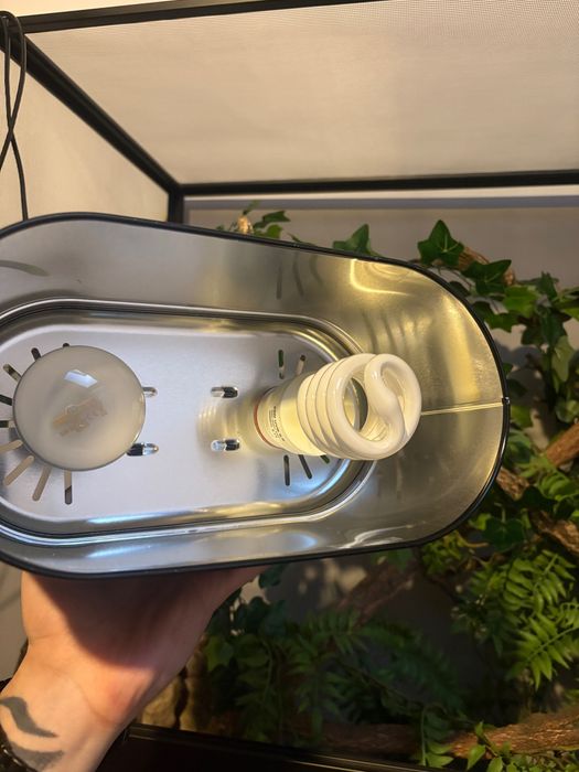 Terrarium dla kameleona