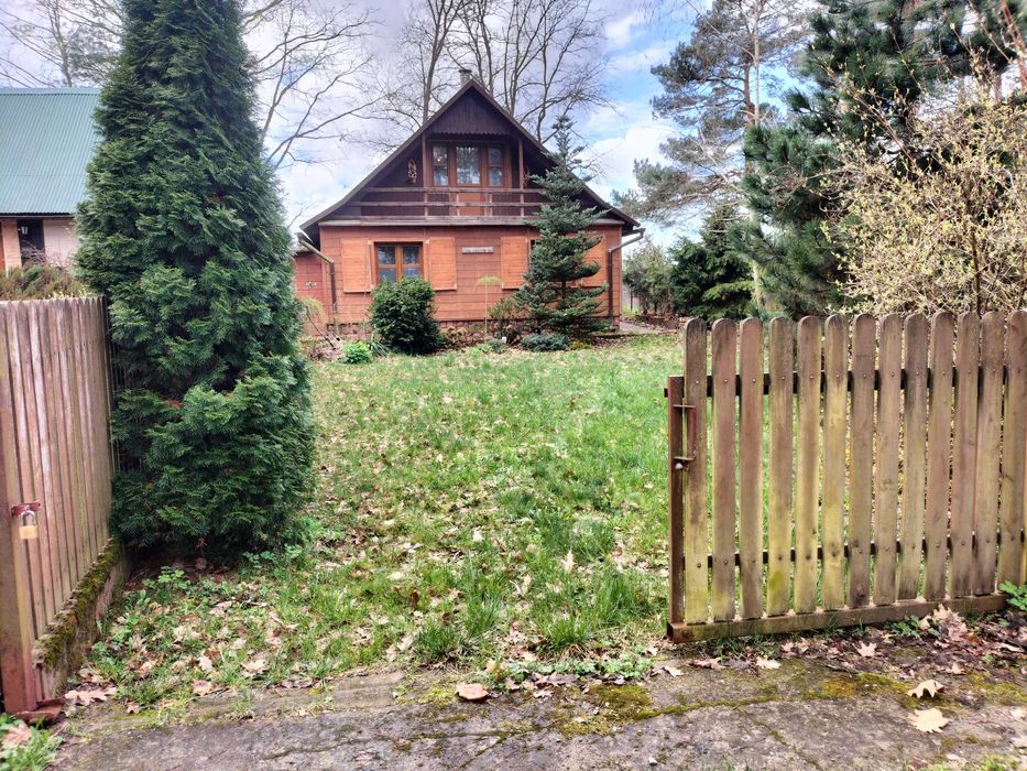 Wynajmę domek letniskowy w Radawie *Domek nad rozlewiskiem*