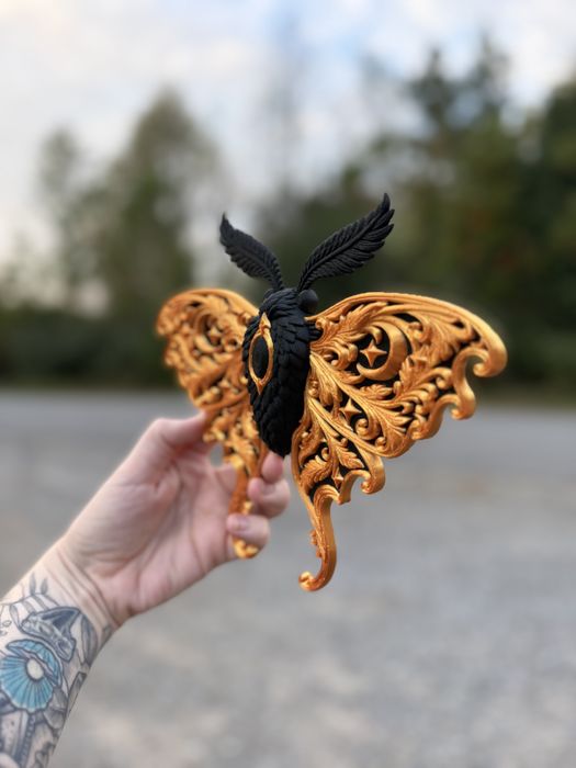 Modelo de borboleta luna para decoração