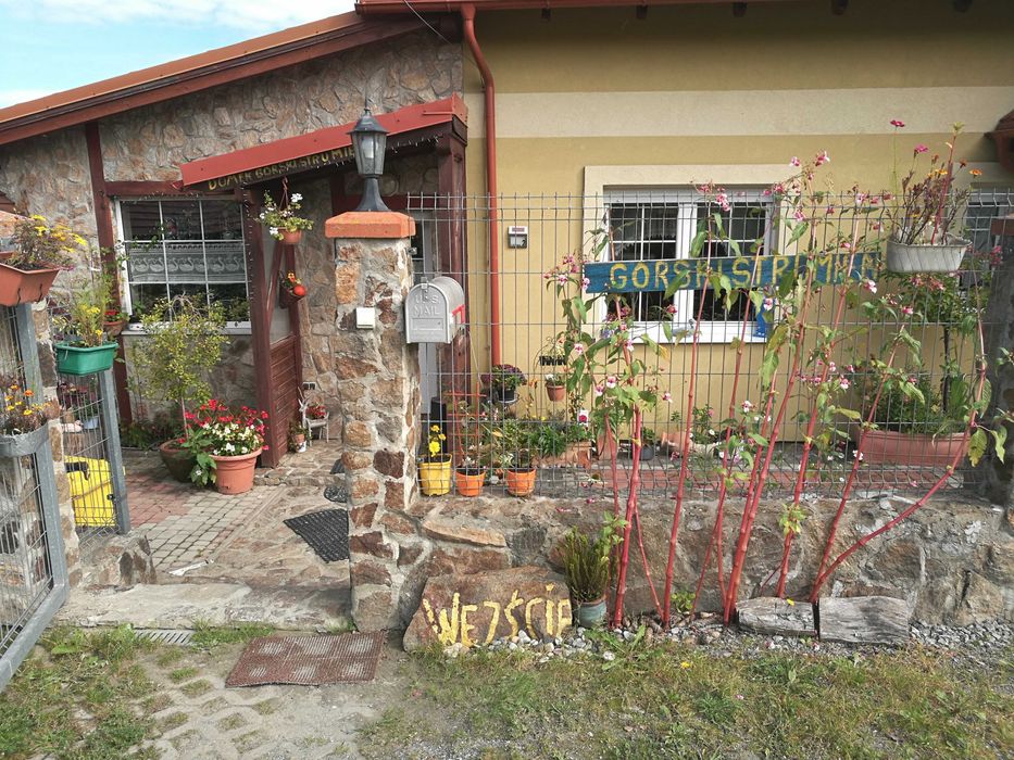 domek górski strumień w Masywie Śnieżnika