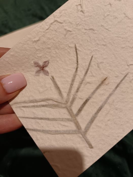 10x Envelope em Papel Vivo com flores naturais