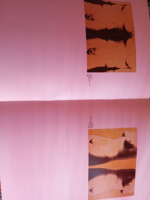 Leonel Moura - Mundo